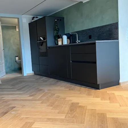Διαμέρισμα Art Residence, Gina Sommer Brienz (Bern)