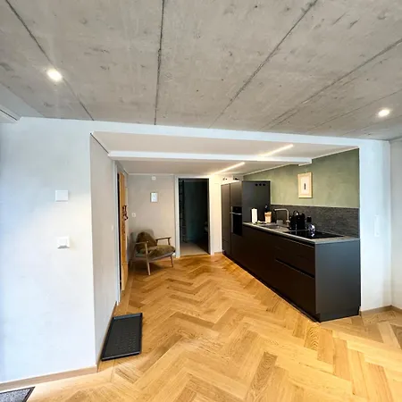 Art Residence, Gina Sommer Διαμέρισμα Brienz (Bern)